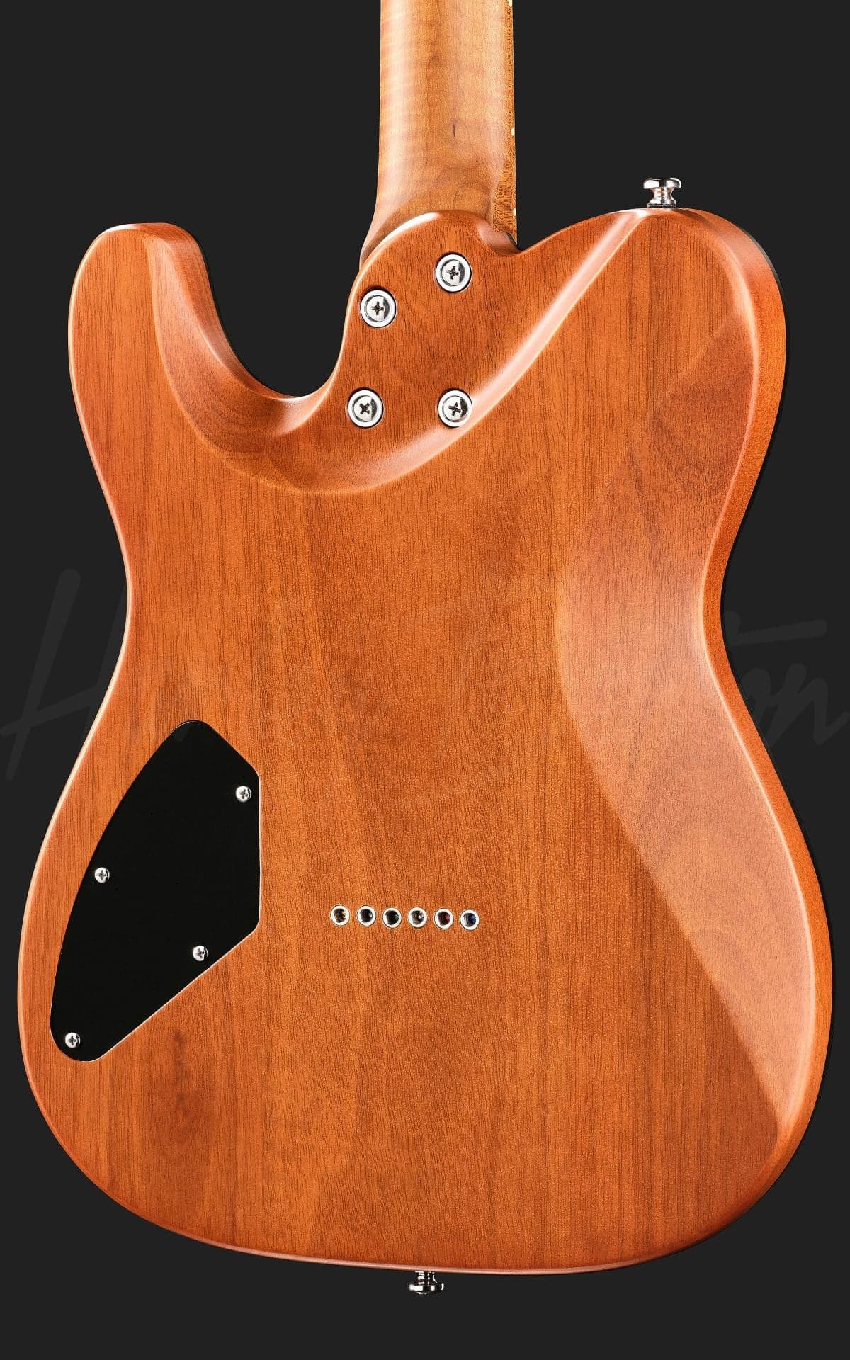 Harley Benton Fusion-T II HH MN HT SGR — photo 5