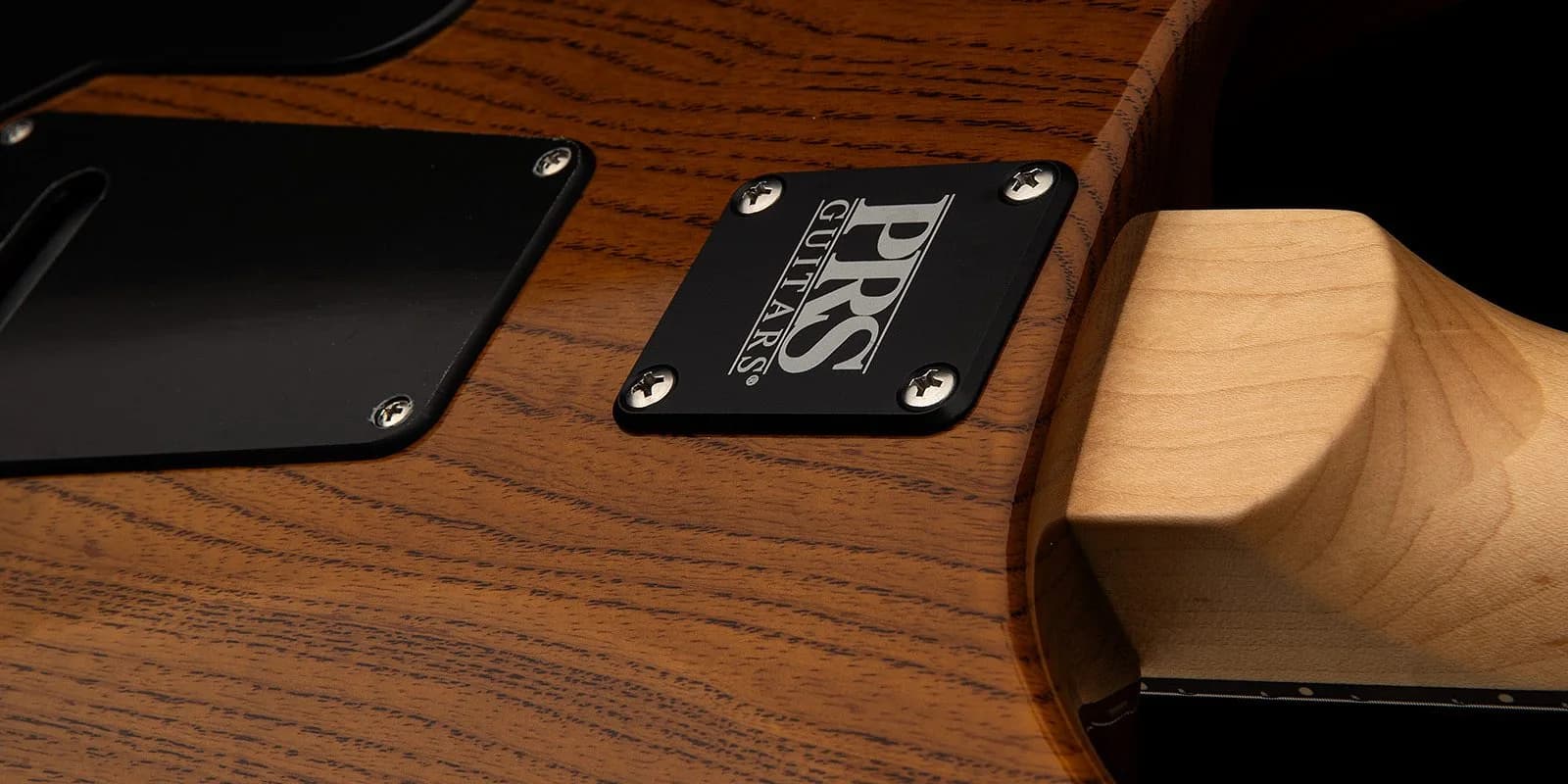 PRS Swamp Ash Special — photo 7