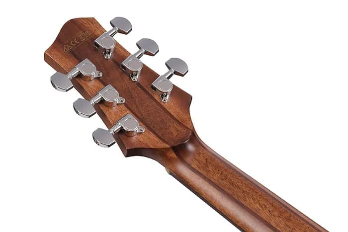 Ibanez PA230E — photo 2