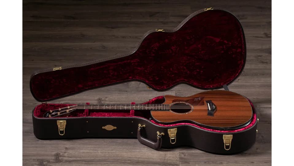 Taylor PS14ce Honduran Rosewood — photo 3