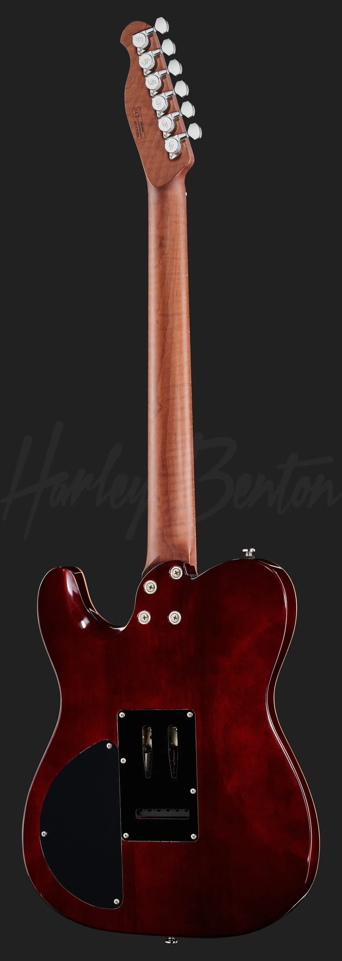 Harley Benton Fusion-T HH Roasted FNT — photo 3