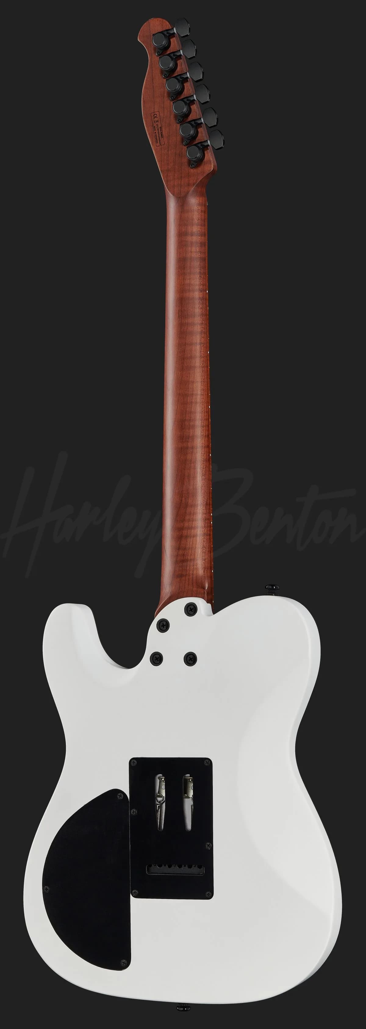Harley Benton Fusion-T HH Roasted WM — photo 3