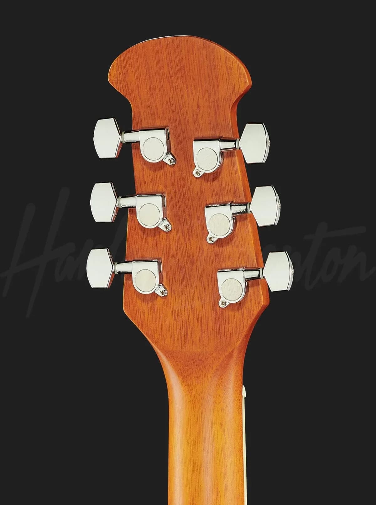 Harley Benton HBO-850NT — photo 7