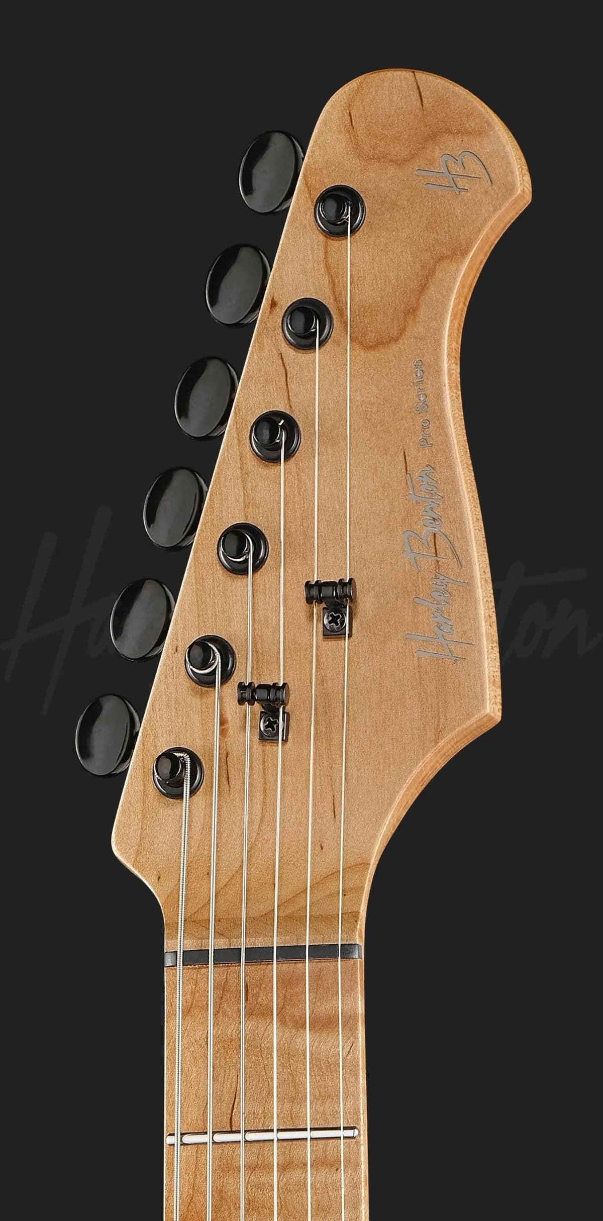 Harley Benton ST-Modern Plus MN HSS Gun Metal Blue — photo 7