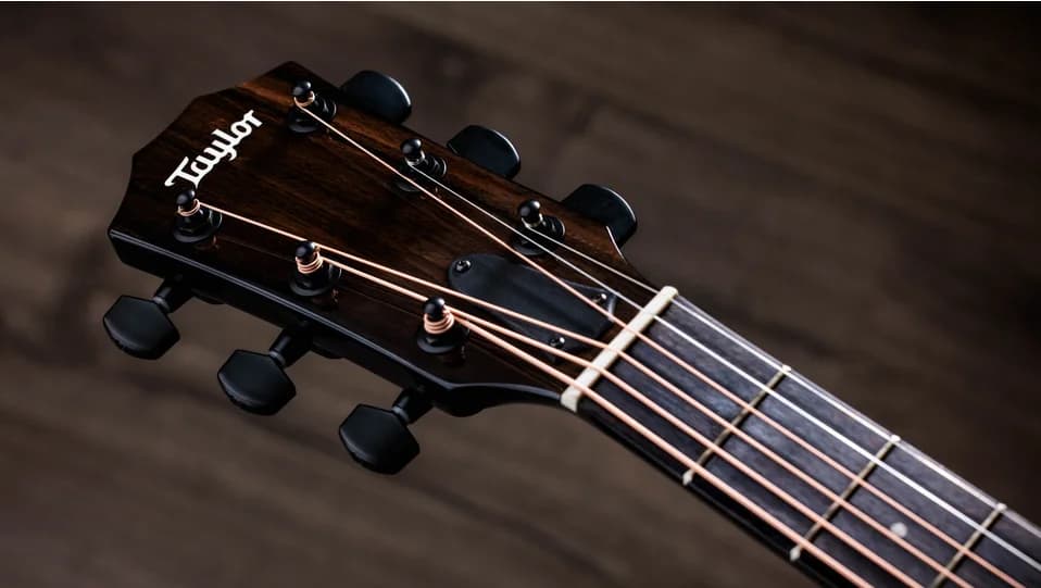 Taylor 214ce-BLK Plus — photo 8