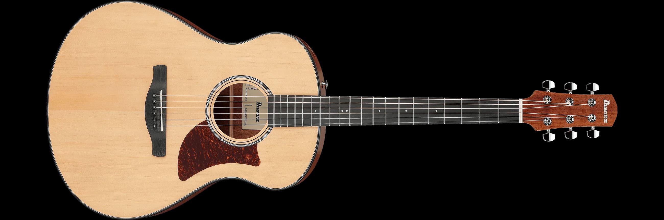 Ibanez AAM50