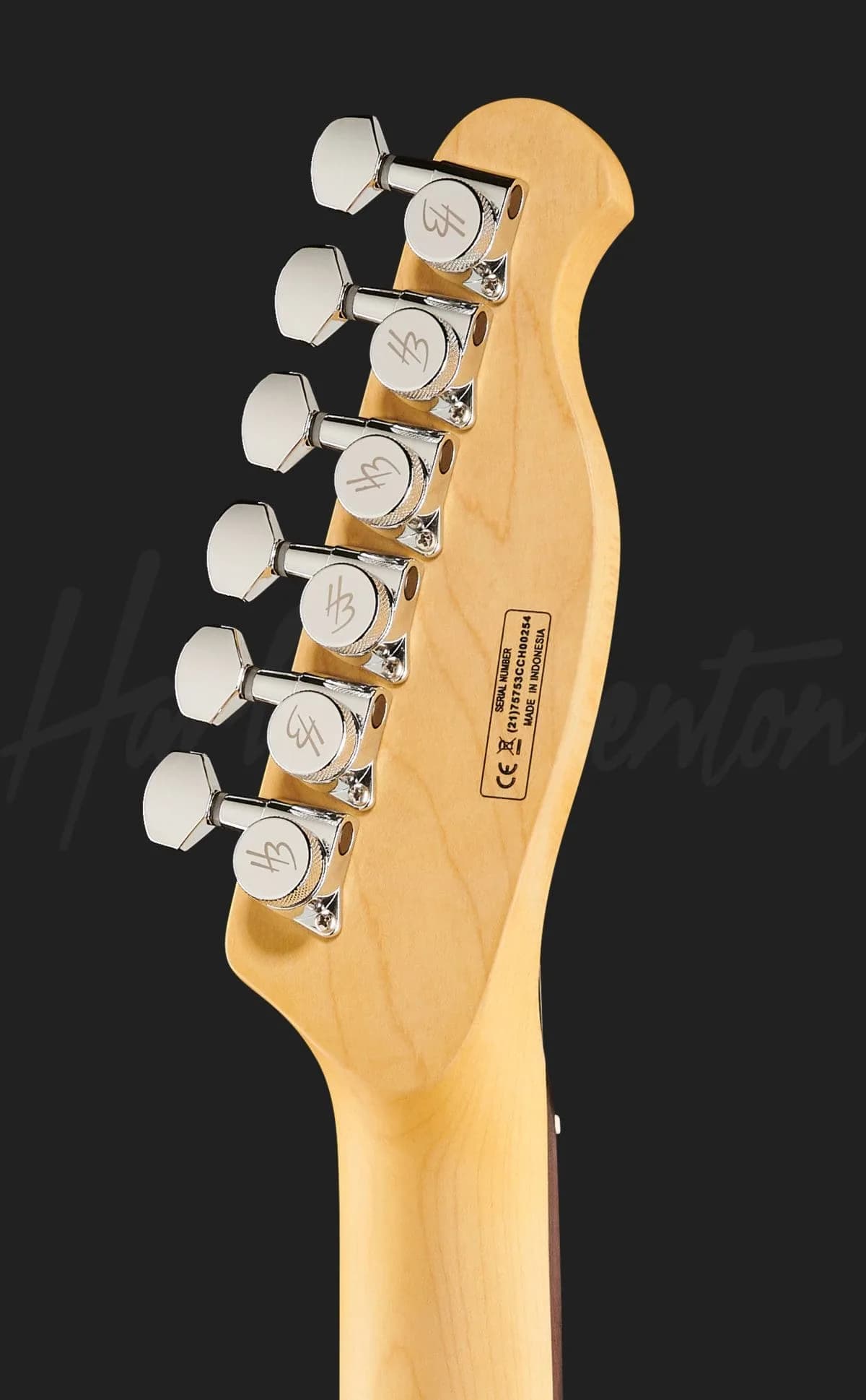 Harley Benton Fusion-T HH HT LH EB BK — photo 7