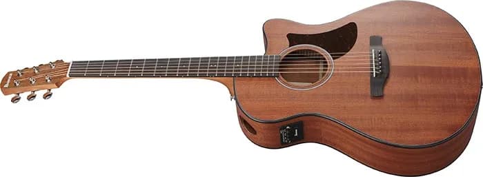 Ibanez AAM54CE — photo 4