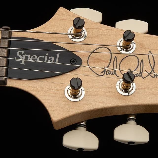PRS Swamp Ash Special Maple