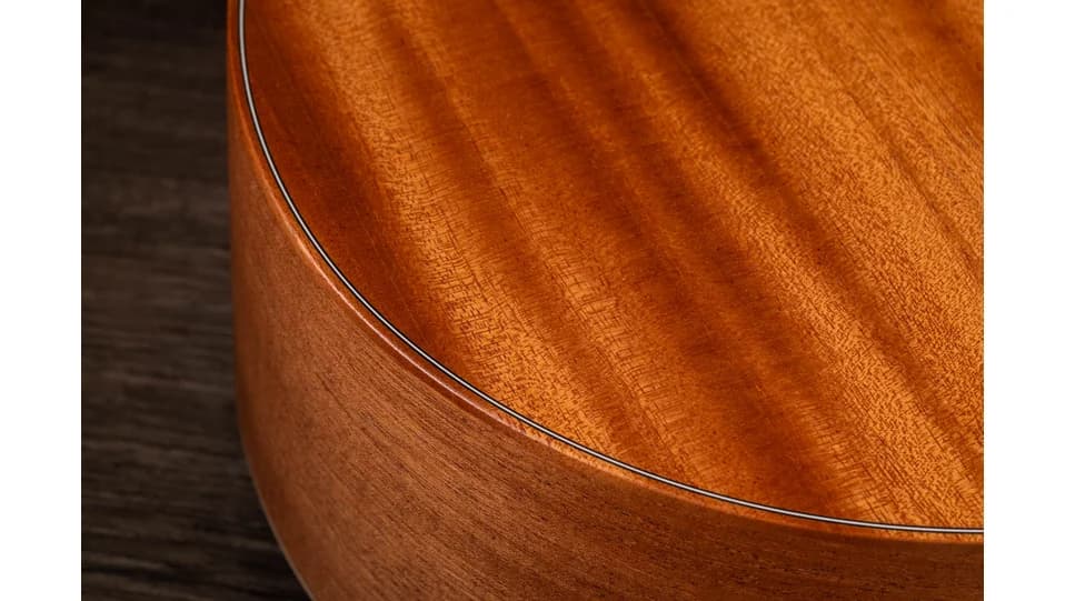 Taylor GS Mini Mahogany — photo 5