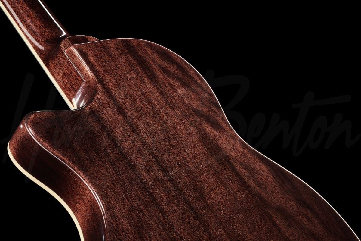 Harley Benton Nashville Nylon Plus Black — photo 8