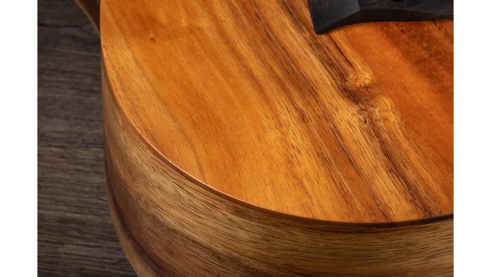 Taylor BTe Koa — photo 5