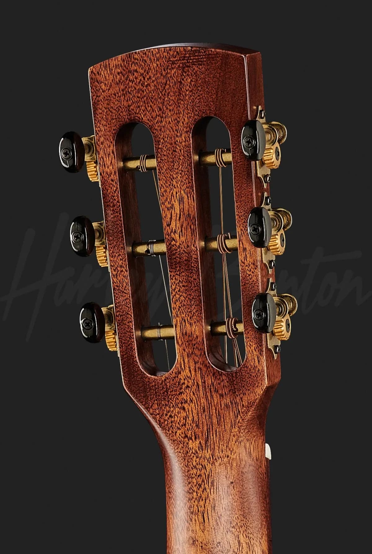 Harley Benton CLP-15ME Solid Wood — photo 7