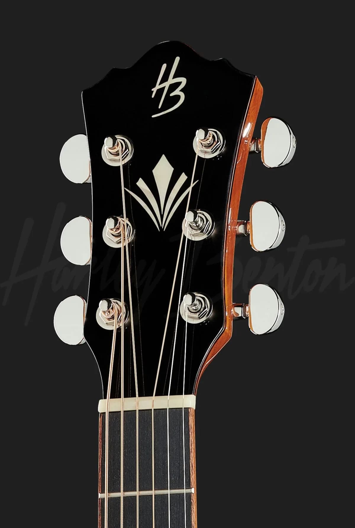 Harley Benton CLC-650SM-CE BK Solid Wood — photo 6