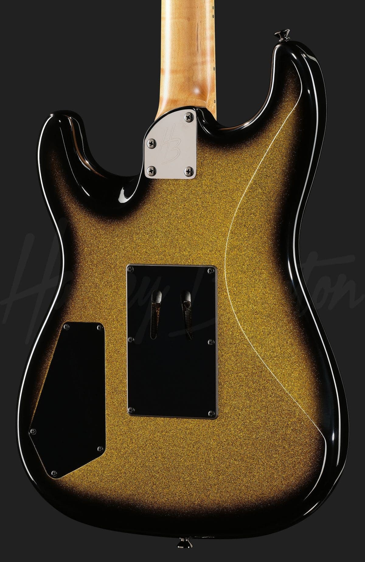 Harley Benton ST-80FR MN HH GSB — photo 5