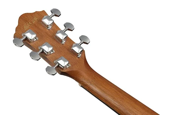 Ibanez V40WSCE — photo 2