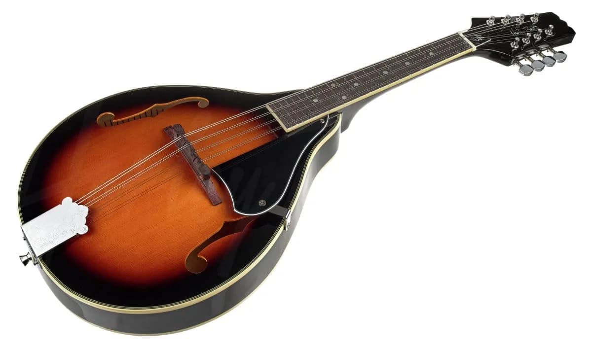 Harley Benton MA-50 VS — photo 4