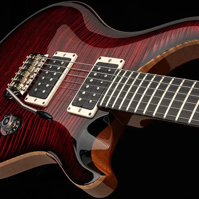 PRS Custom 24 "Birds of a Feather" Limited Edition — photo 3