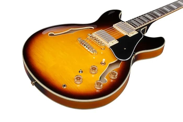 Ibanez JSM10EM — photo 2