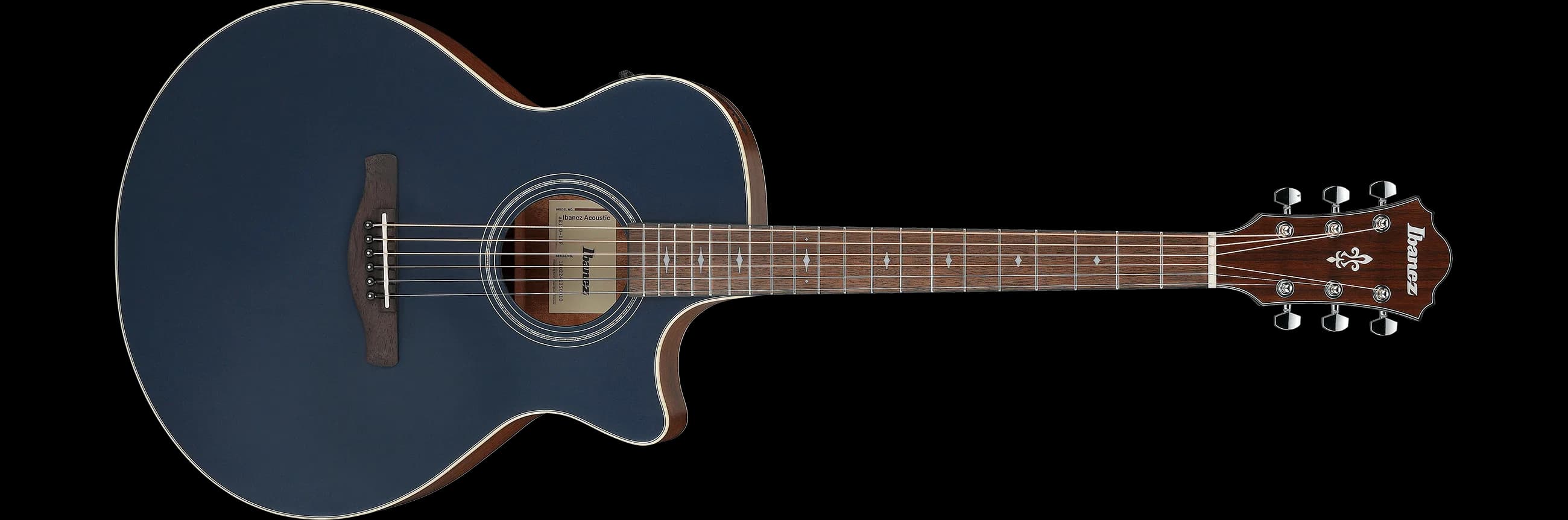Ibanez AE100