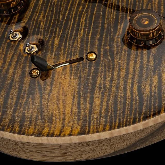 PRS 40th Anniversary Special Semi-Hollow Limited Edition — photo 5