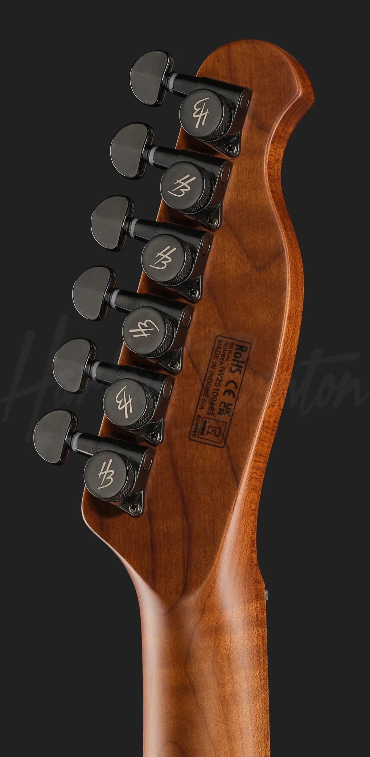 Harley Benton Fusion-T II EMG MN HT SBK — photo 7