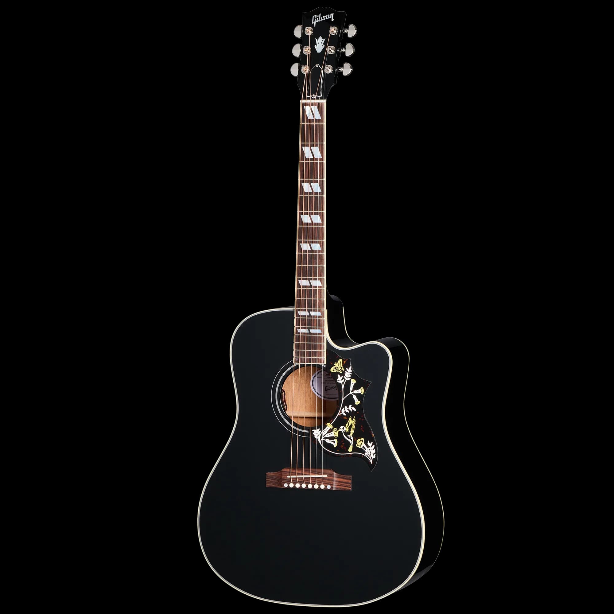 Gibson Hummingbird Standard EC, Ebony, Exclusive — photo 2