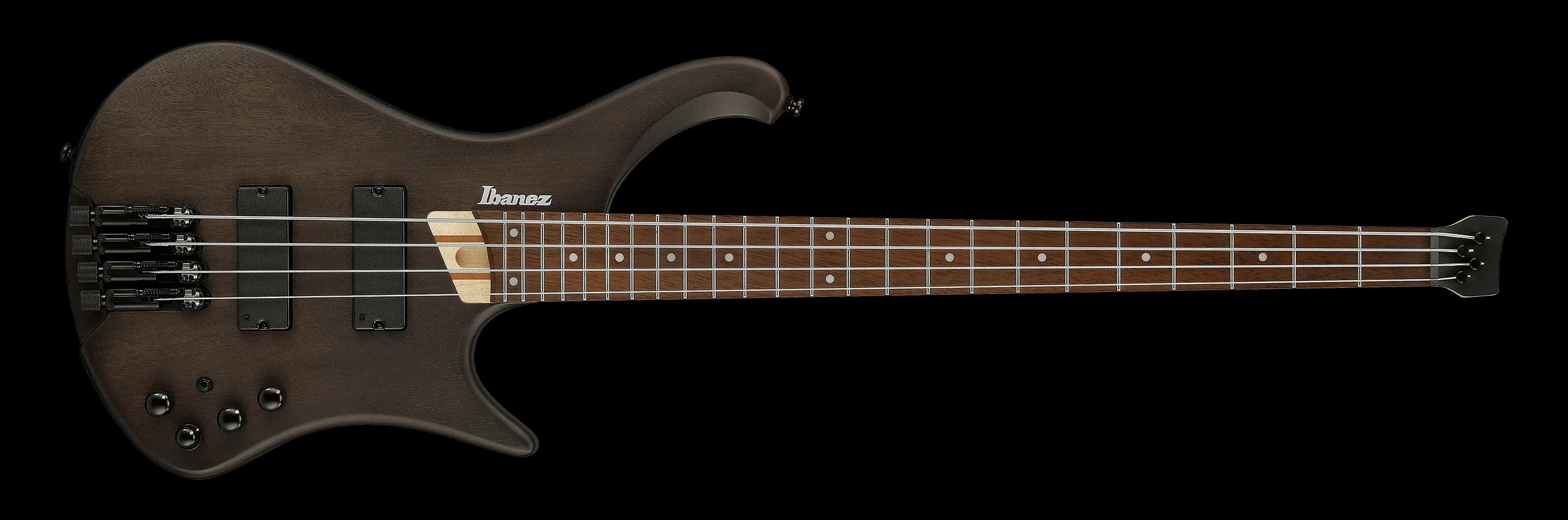 Ibanez EHB600 — photo 2