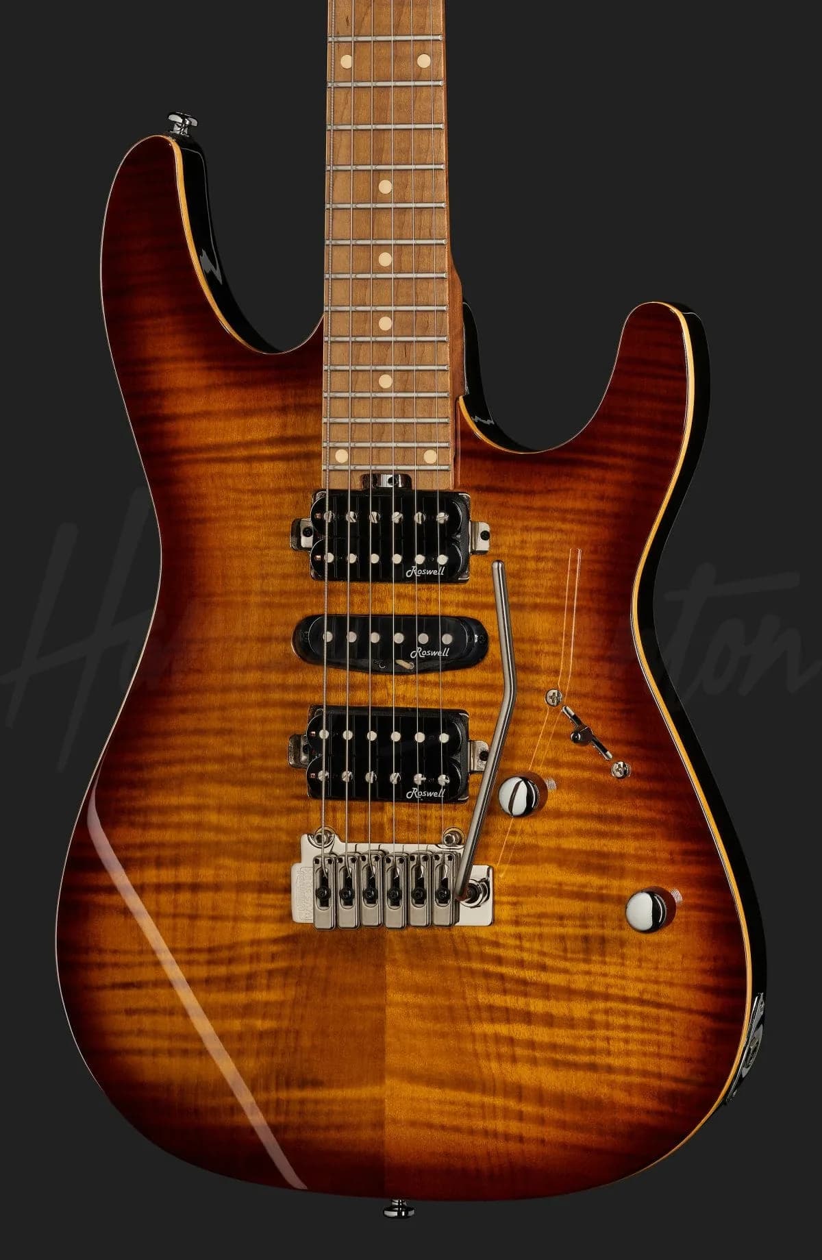 Harley Benton Fusion-III HSH Roasted FBB — photo 4