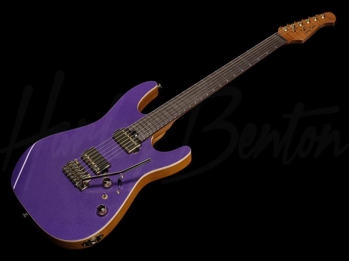 Harley Benton Fusion-IV HH RW PM — photo 8