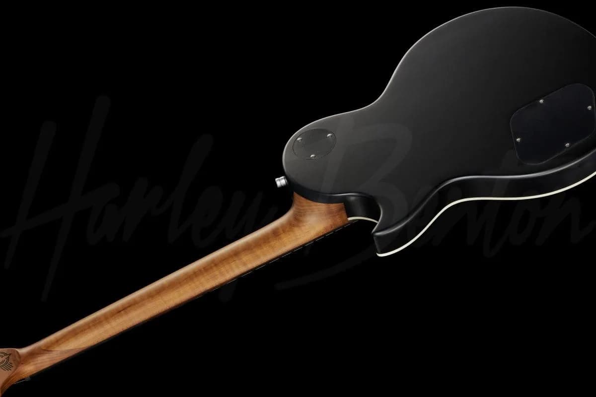 Harley Benton Agufish STD Signature BK — photo 8