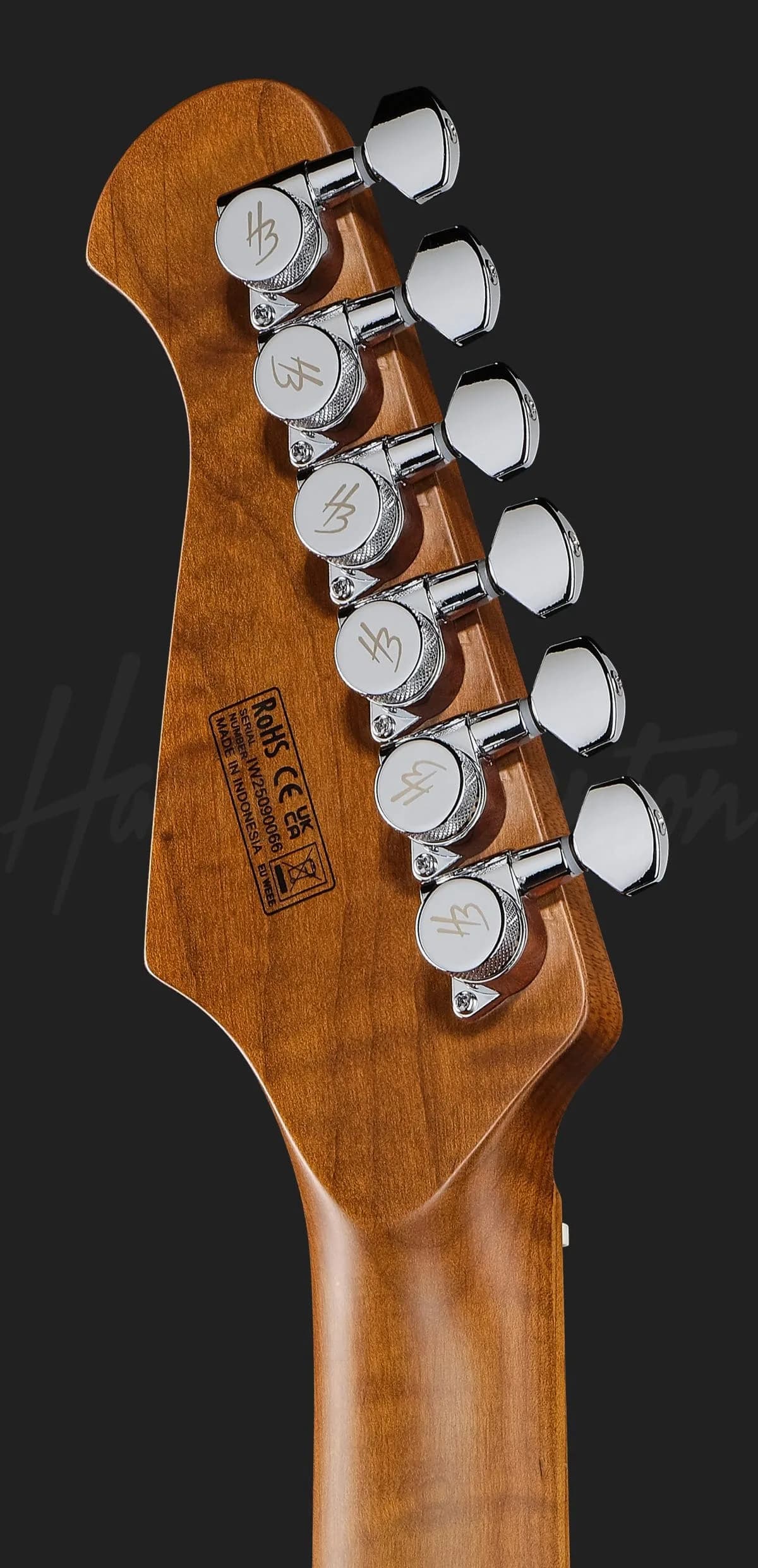 Harley Benton Fusion-IV HSS MN QRG — photo 7