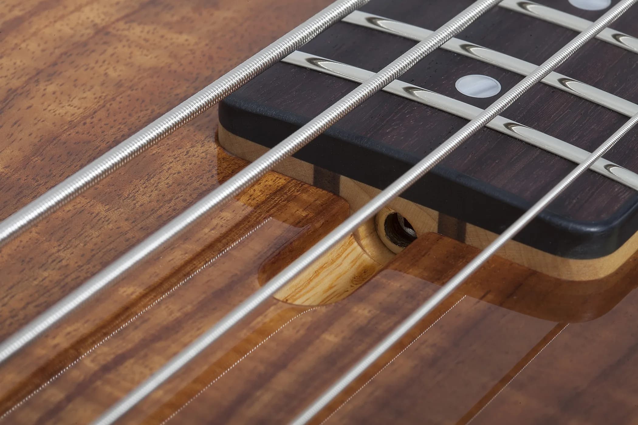 Schecter Michael Anthony Koa Top USA Signature — photo 8