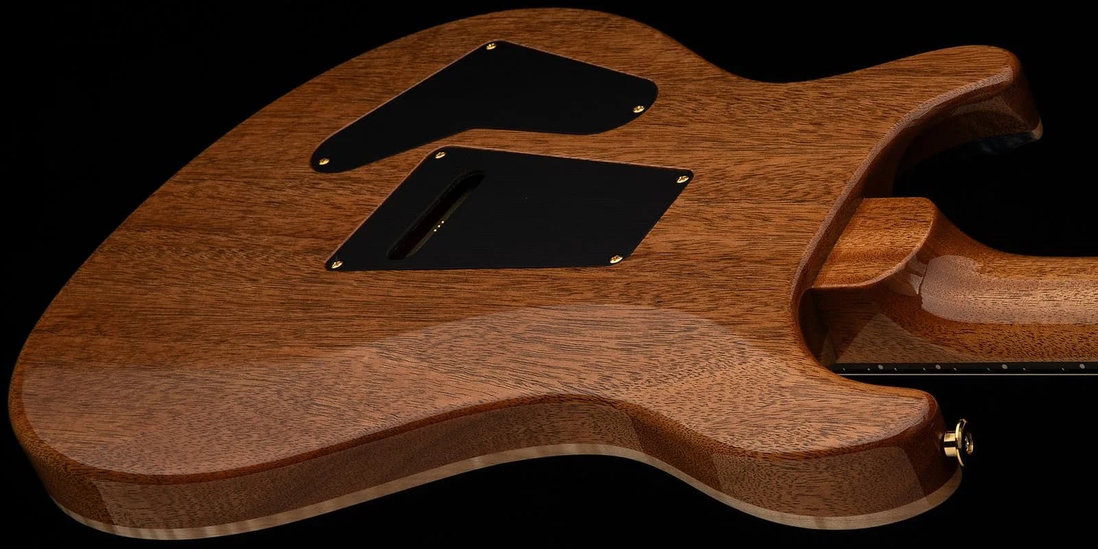 PRS 40th Anniversary Custom 24-08 Semi-Hollow Limited Edition — photo 6