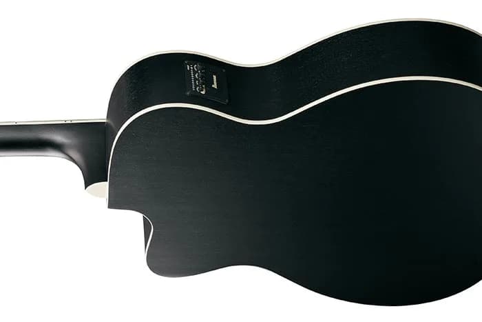 Ibanez PC14MHCE — photo 3