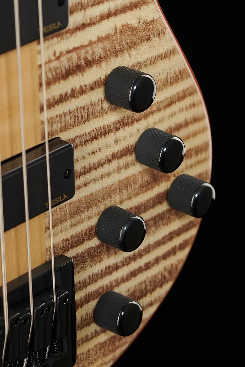 Harley Benton BZ-6000 II NT — photo 4
