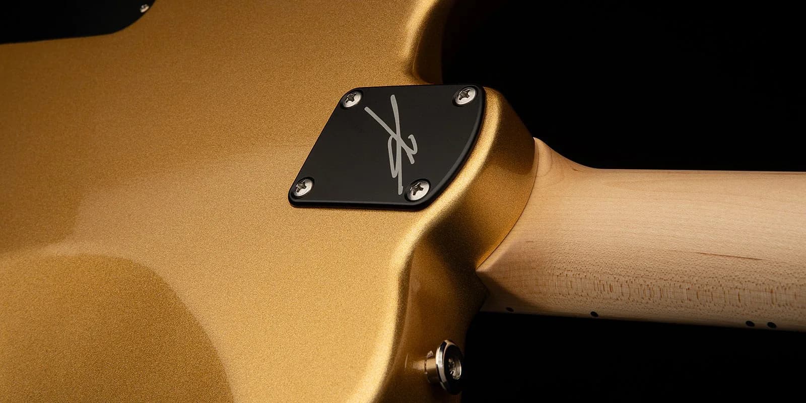 PRS Myles Kennedy — photo 6