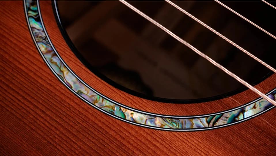 Taylor 50th Anniversary PS14ce LTD — photo 6