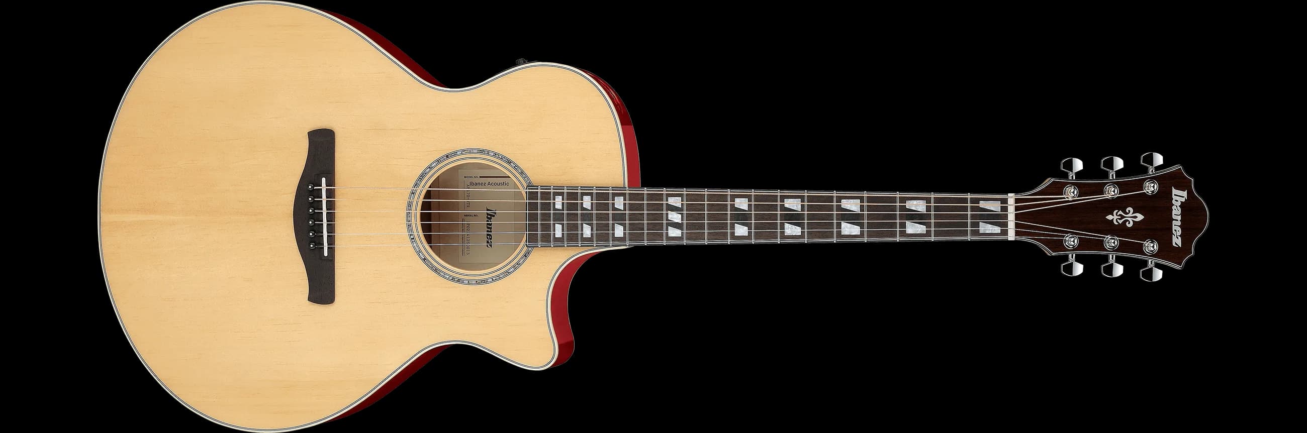 Ibanez AE170 — photo 2