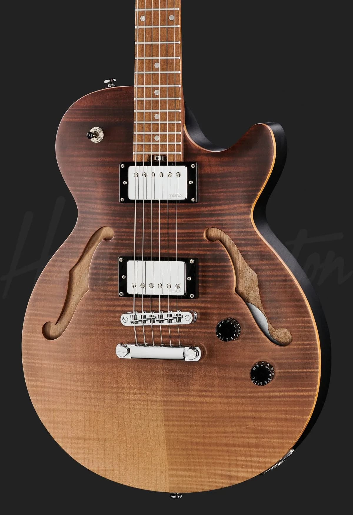 Harley Benton Aeolus Frost Flame — photo 4