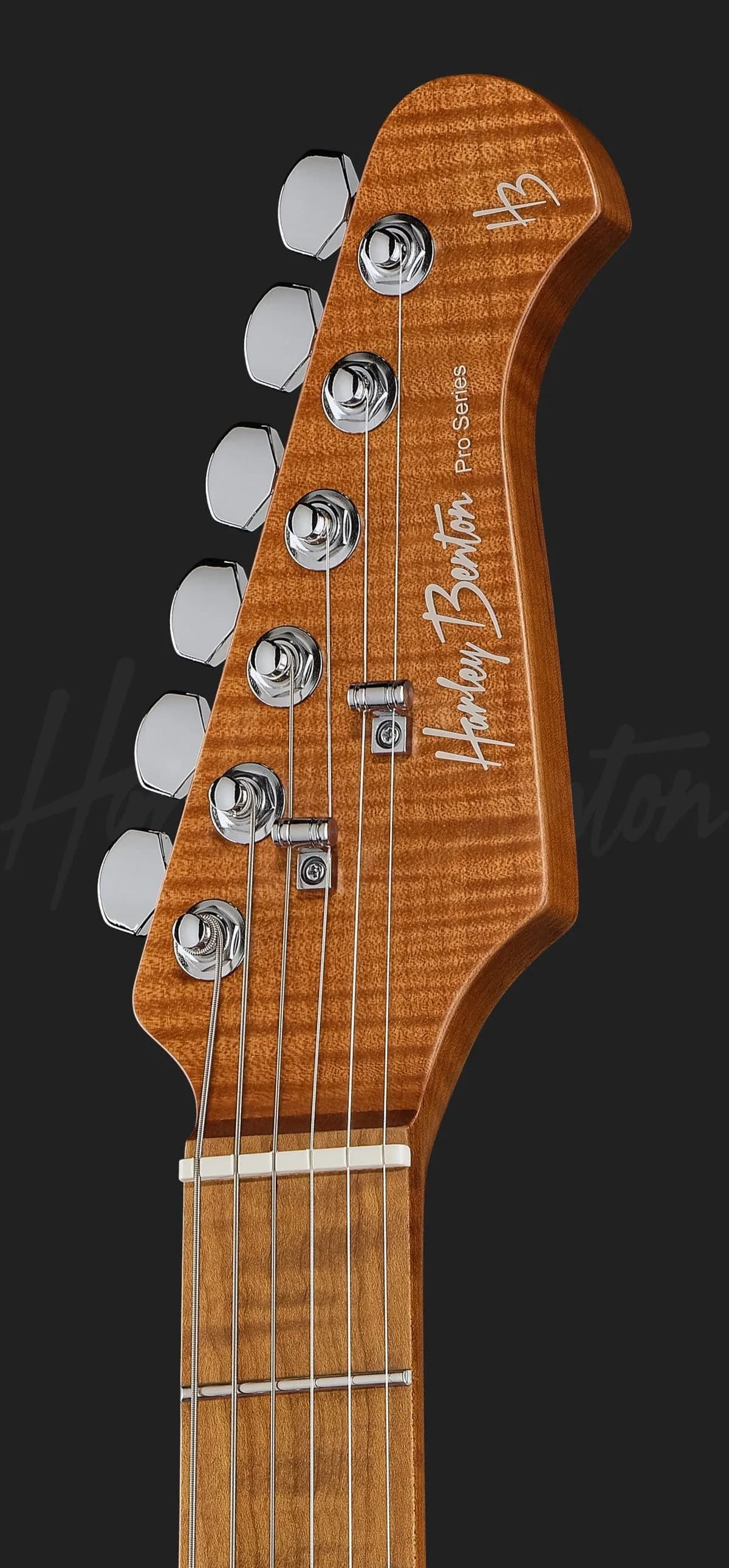 Harley Benton Fusion-IV HH MN QBLB — photo 6