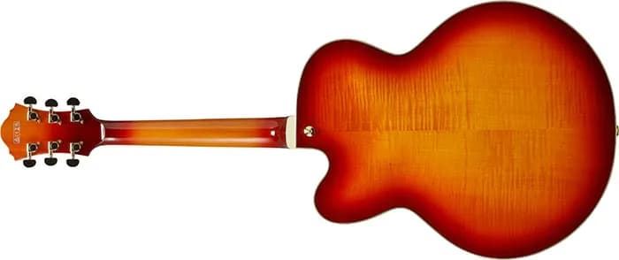 Ibanez AF115 — photo 5