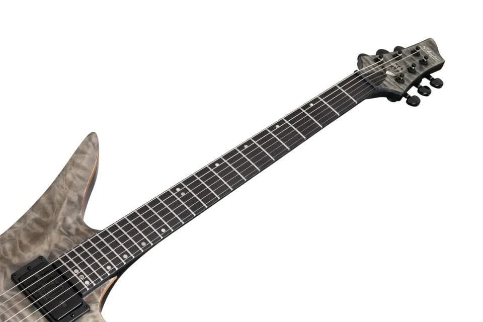 Schecter Avenger 40th Anniversary — photo 8