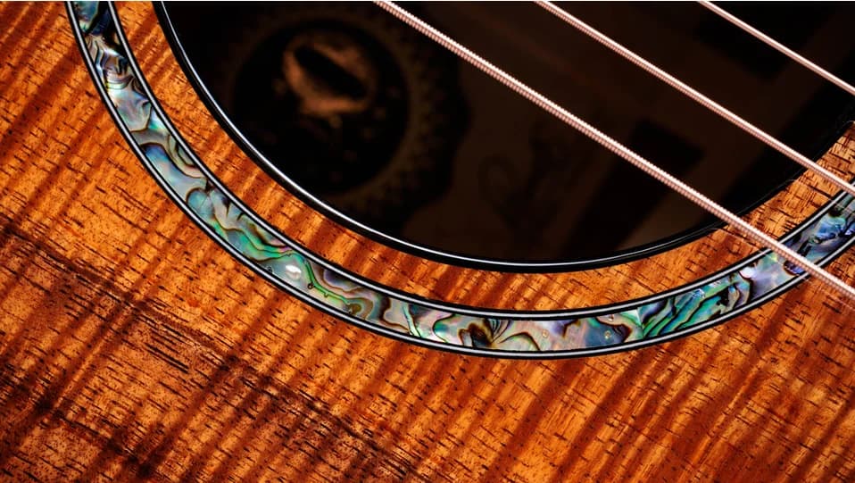 Taylor 50th Anniversary PS24ce LTD &amp; Circa 74 Amp — photo 8