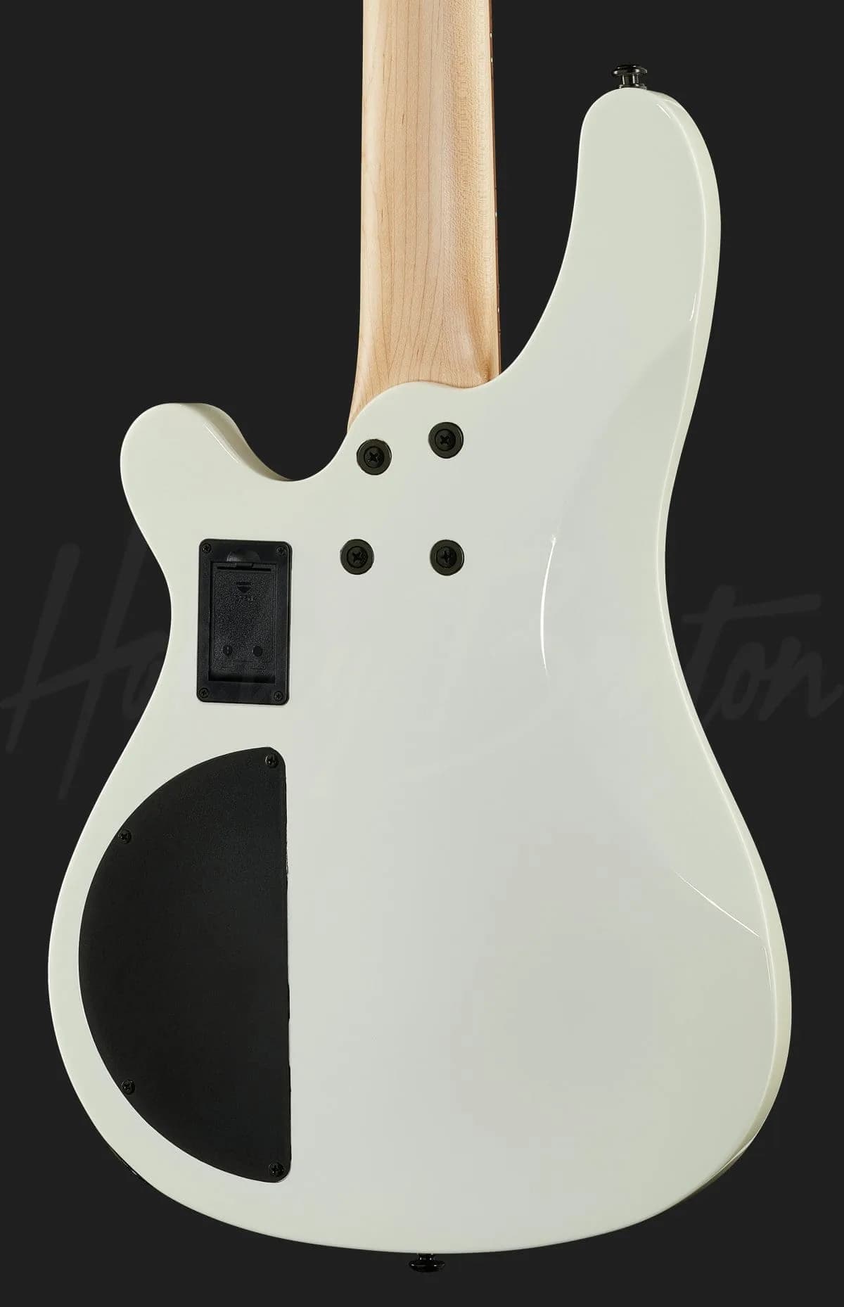 Harley Benton B-450 WH — photo 5