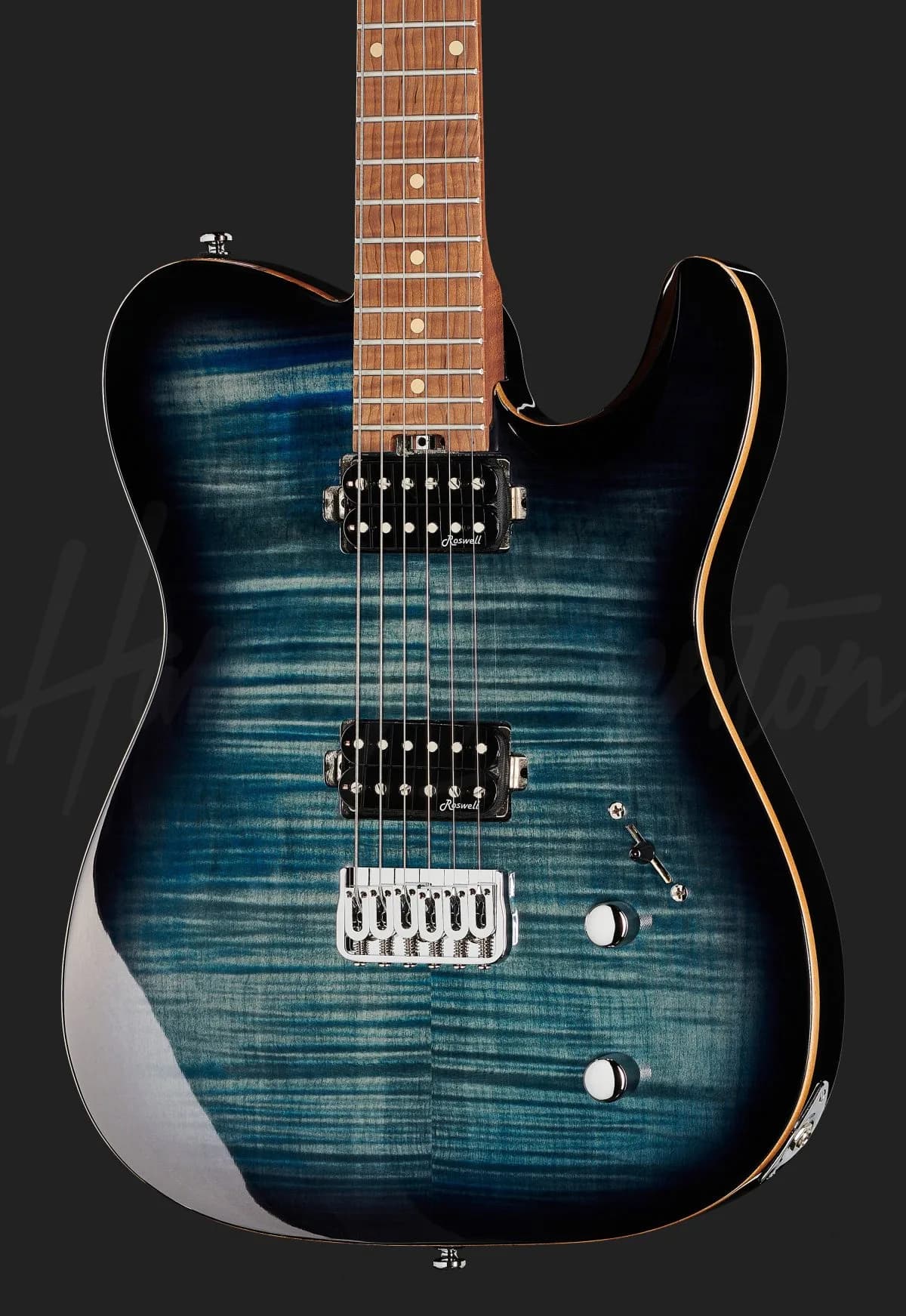 Harley Benton Fusion-T HH HT Roasted FBLB — photo 4