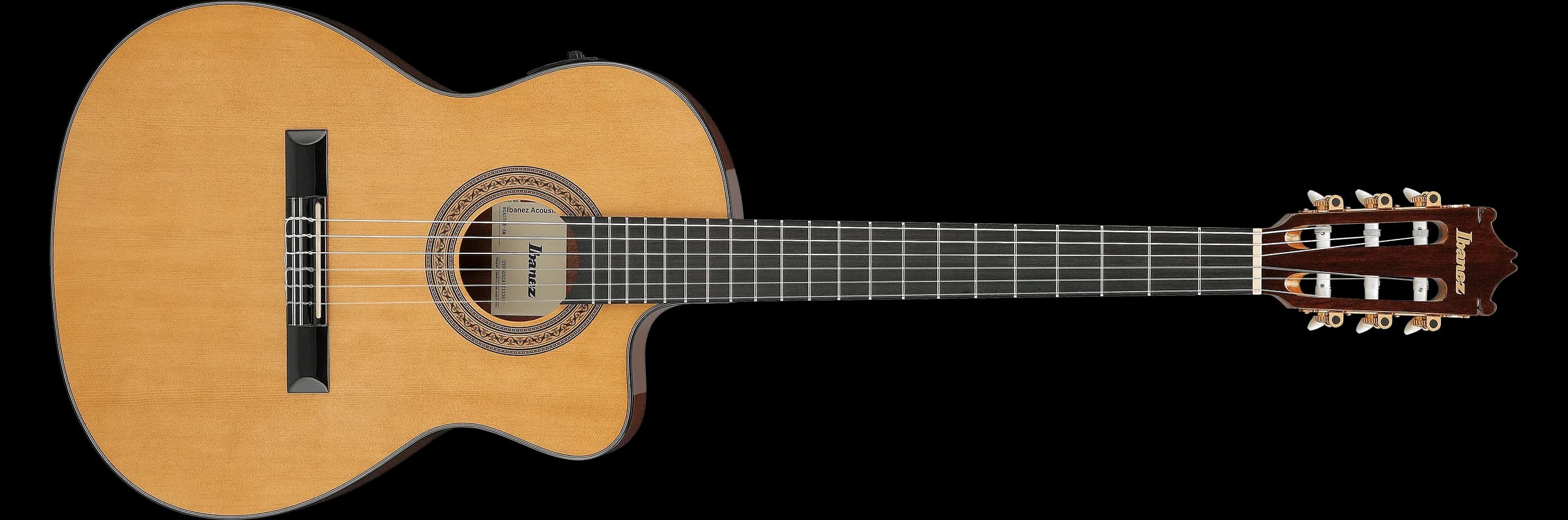 Ibanez GA5TCE