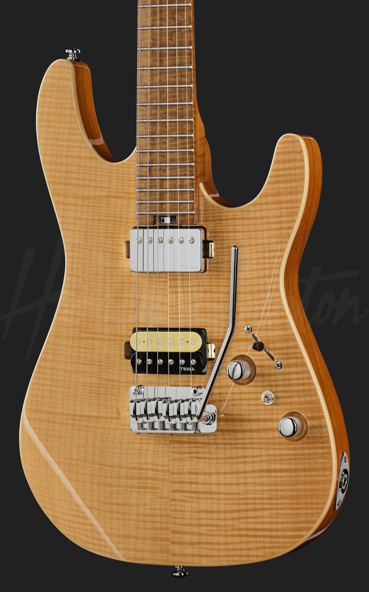 Harley Benton Fusion-IV HH MN FNT — photo 4