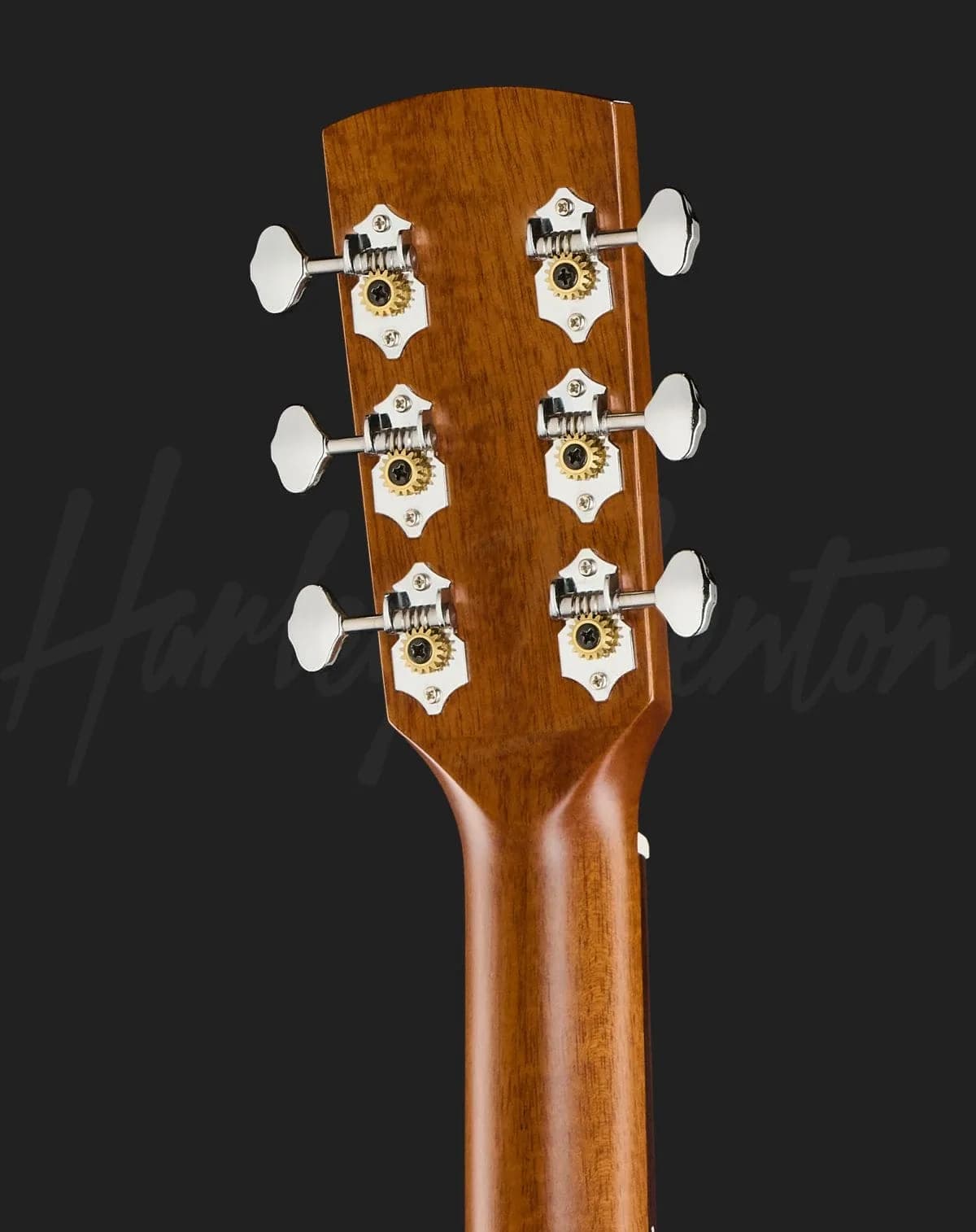 Harley Benton CLD-65M NT — photo 7