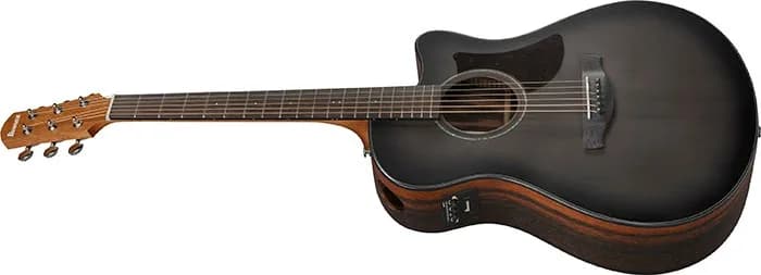 Ibanez AAM70CE — photo 4